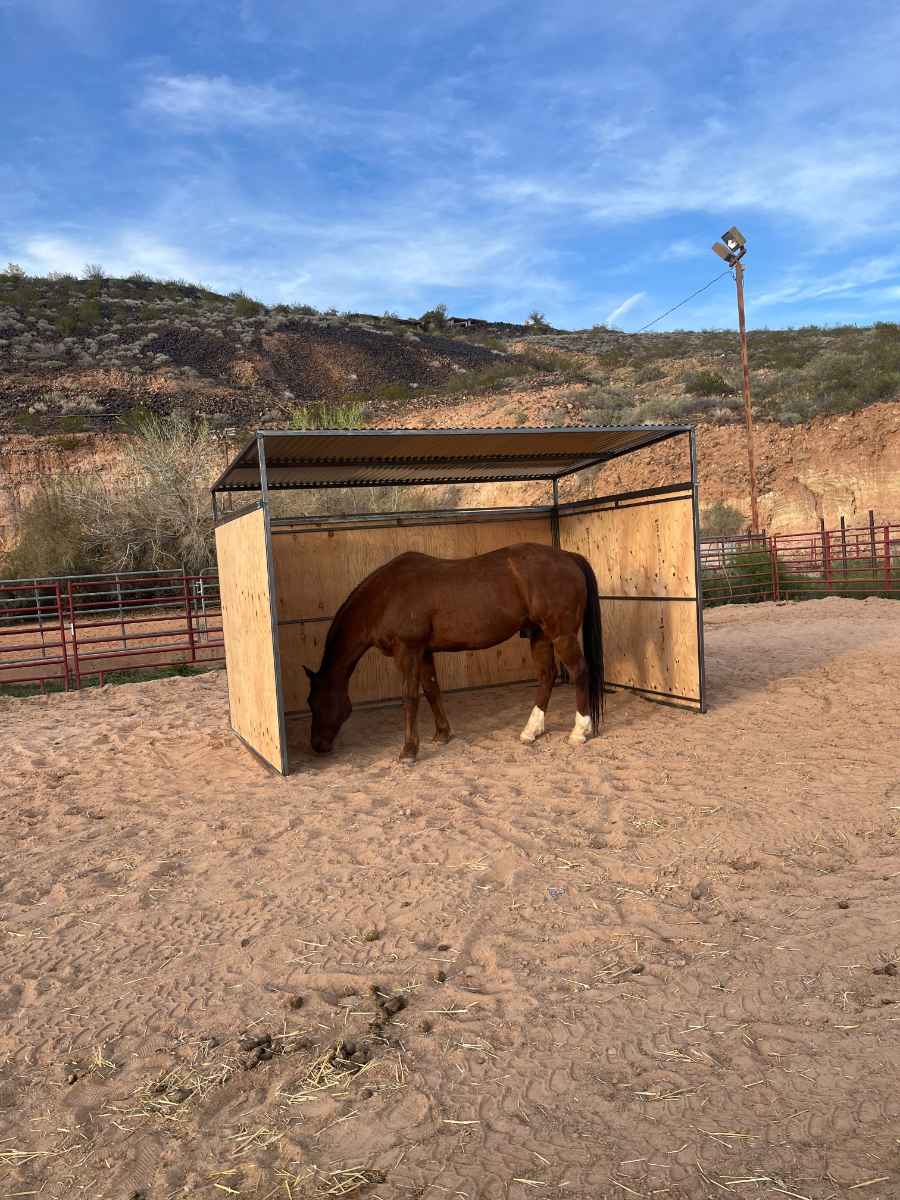 Livestock shelter fabrication